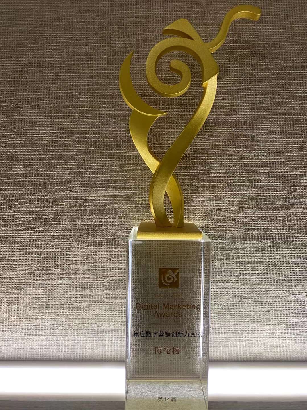 陈榕榕金鼠标营销创新人物奖